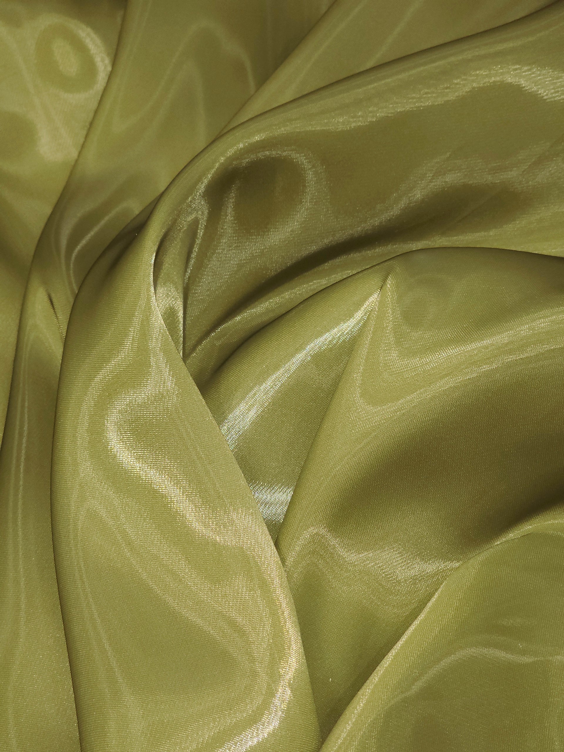Fishing Line/Liquid Organza Fabric