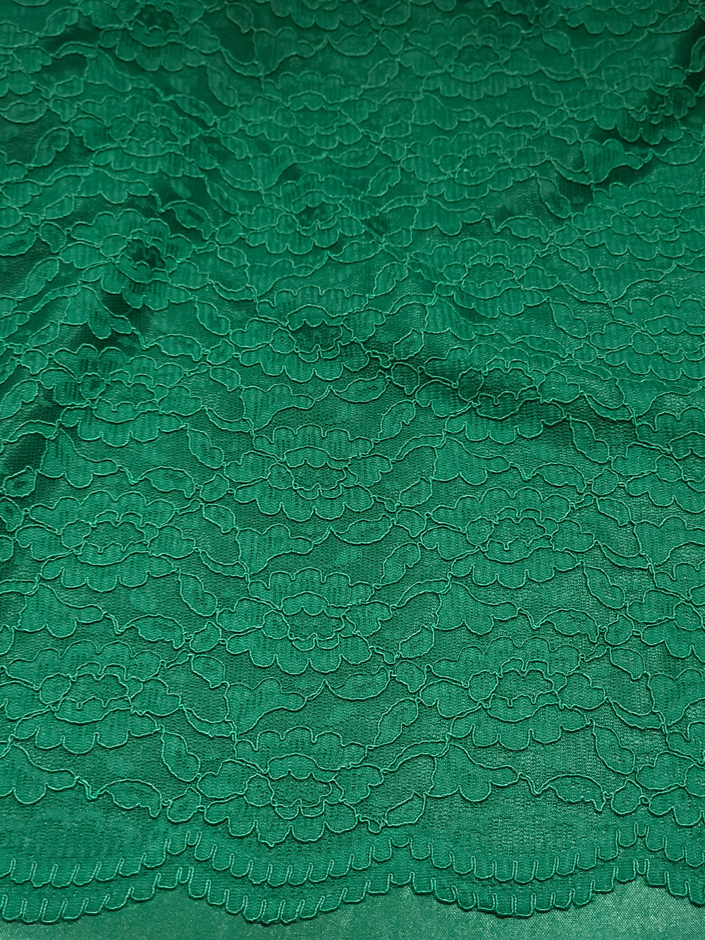 Lined Corded Lace Fabric