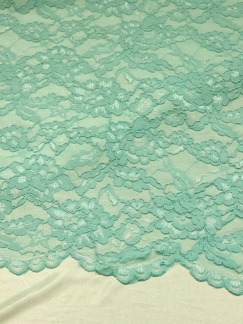 Lined Corded Lace Fabric