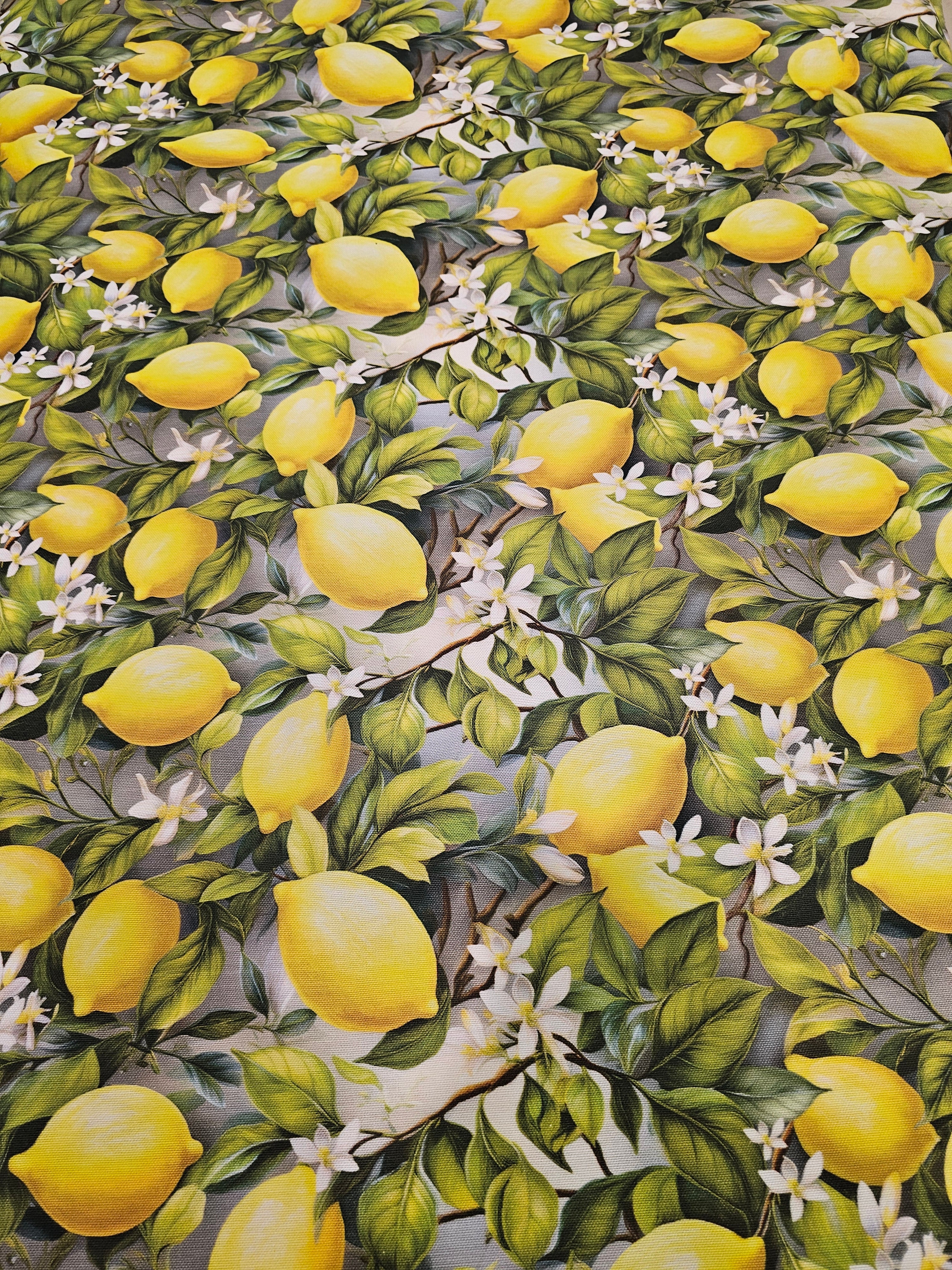Lemon Patterned Duck Fabric