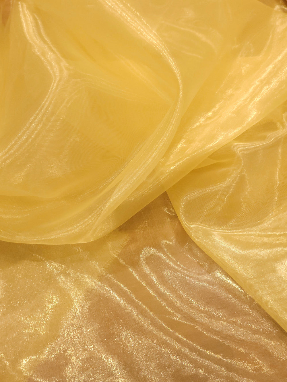 Glass Organza Fabric