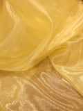 Glass Organza Fabric