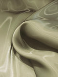 Fishing Line/Liquid Organza Fabric
